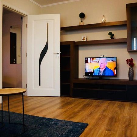 Joy City Stay Iasi 10 ティミショアラ エクステリア 写真