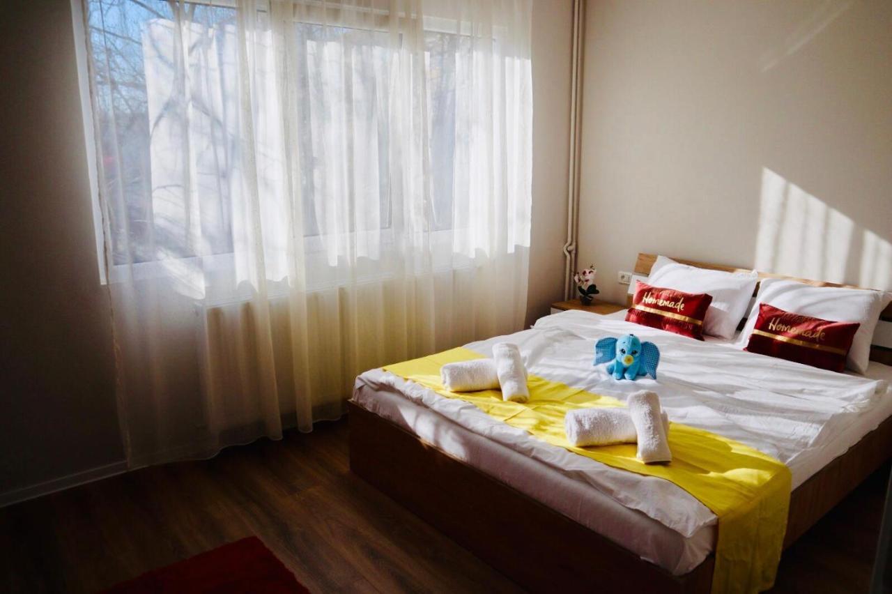Joy City Stay Iasi 10 ティミショアラ エクステリア 写真