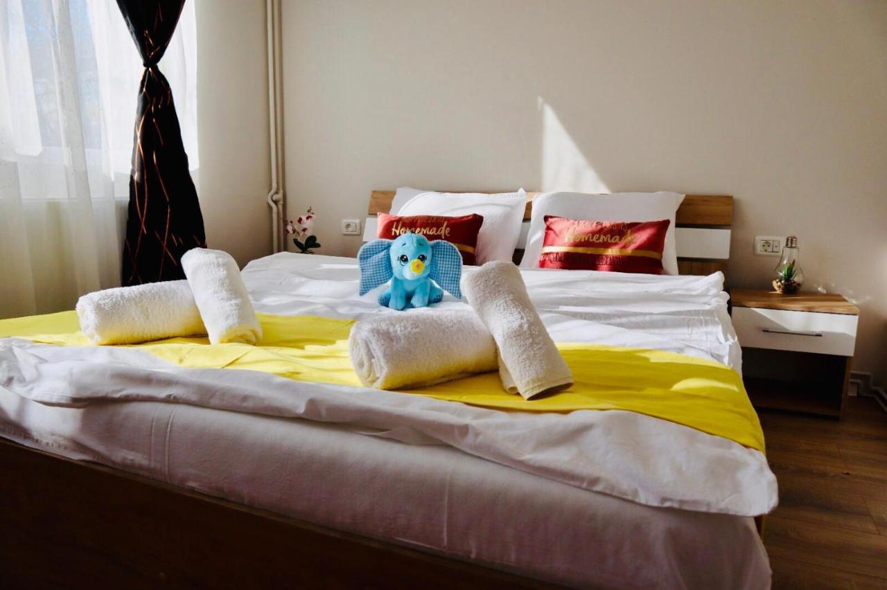 Joy City Stay Iasi 10 ティミショアラ エクステリア 写真