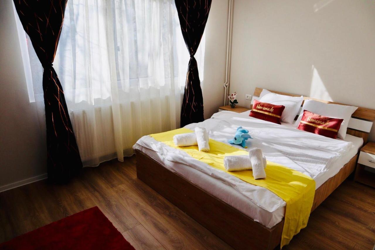 Joy City Stay Iasi 10 ティミショアラ エクステリア 写真