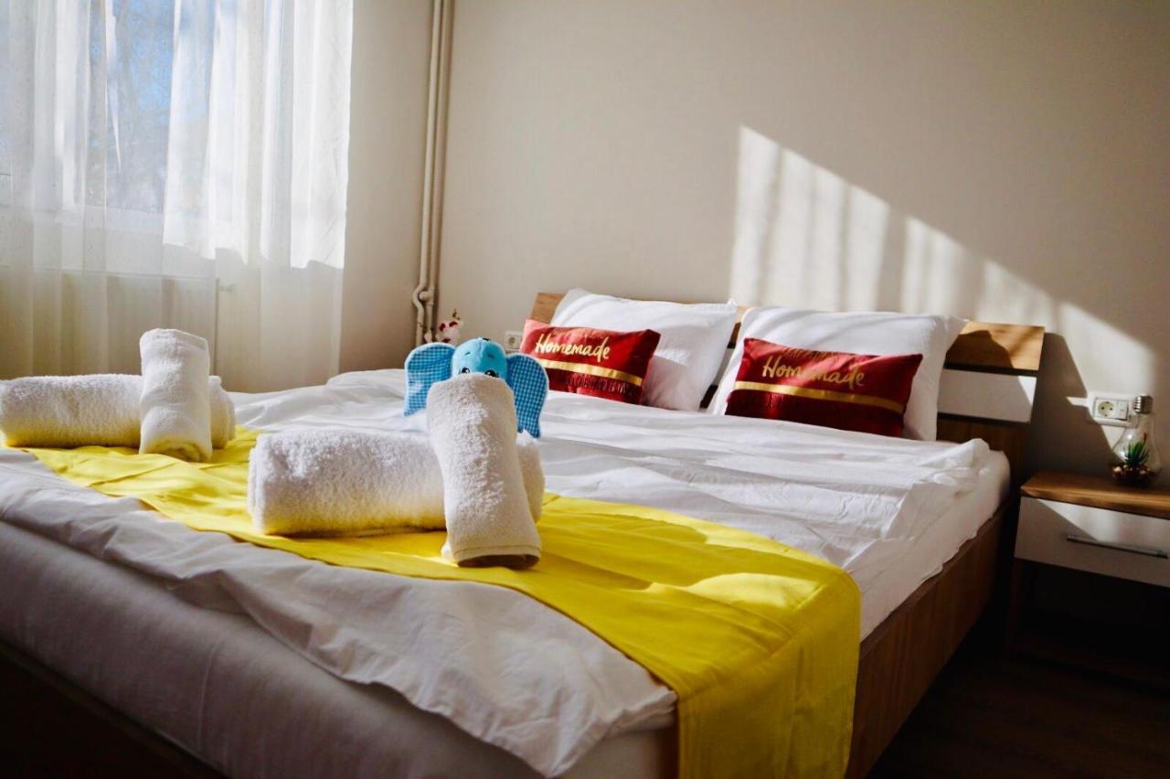 Joy City Stay Iasi 10 ティミショアラ エクステリア 写真